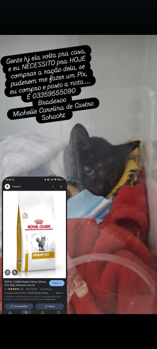Pessoal, minha amiga ta precisando MUITO de ajuda. Ela está desempregada, mora sozinha pagando aluguel e uma das gatinhas dela ficou doente, quem puder ajudar seja com 1 real ou um RT, será muitíssimo bem vindo. Obrigada 🐈‍⬛❤️‍🩹
PIX: 03359555090 / Michelle Carolina.