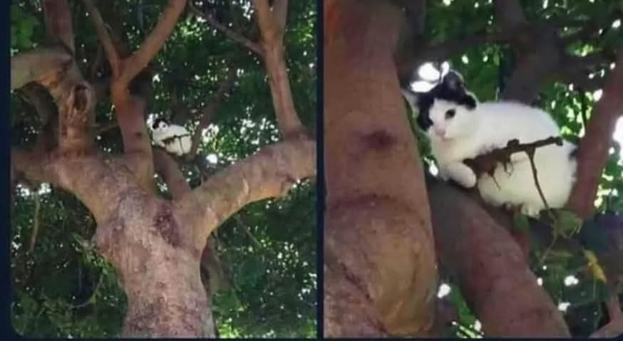 Por un momento creí que me estaba apuntando con un rifle francotirador