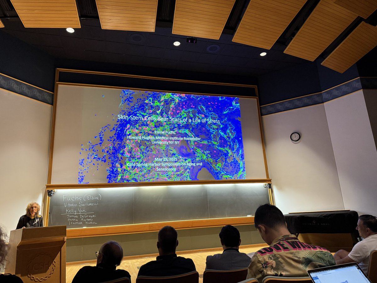 Leo Yuan (@greatysp) on Twitter photo Fantastic talk by <a href="/ElaineFuchsLab/">The Fuchs lab</a> on the highly anticipated work on inflammatory memory with aging… congratulations to <a href="/SairajSajjath/">Raj Sajjath</a>, <a href="/chris_cowley14/">Christopher Cowley, PhD</a>, <a href="/LFSoto12/">Luis F. Soto-Ugaldi</a> et al #aging #cshl Fantastic talk by <a href="/ElaineFuchsLab/">The Fuchs lab</a> on the highly anticipated work on inflammatory memory with aging… congratulations to <a href="/SairajSajjath/">Raj Sajjath</a>, <a href="/chris_cowley14/">Christopher Cowley, PhD</a>, <a href="/LFSoto12/">Luis F. Soto-Ugaldi</a> et al #aging #cshl