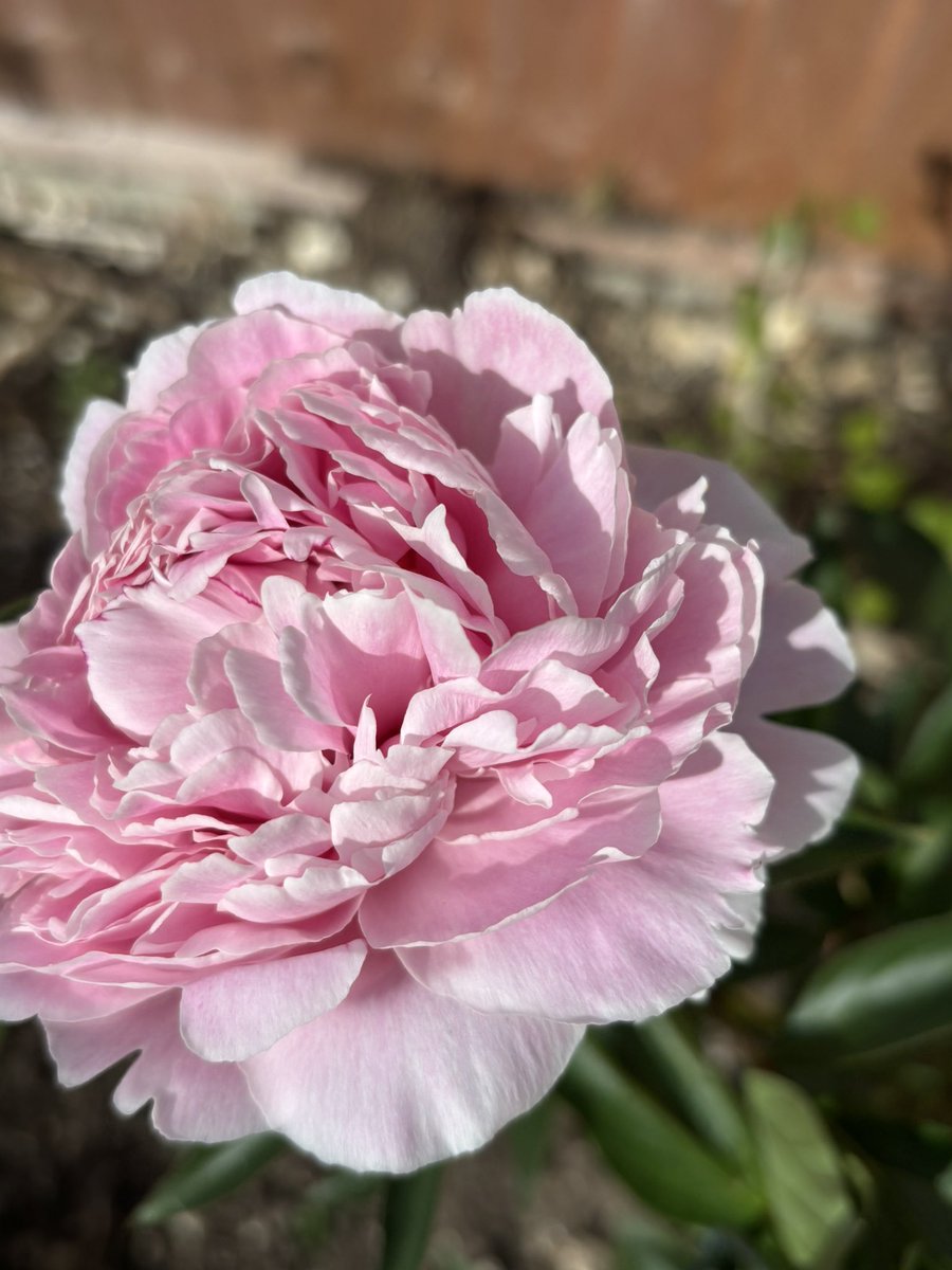 Victoria Barlow tweet media