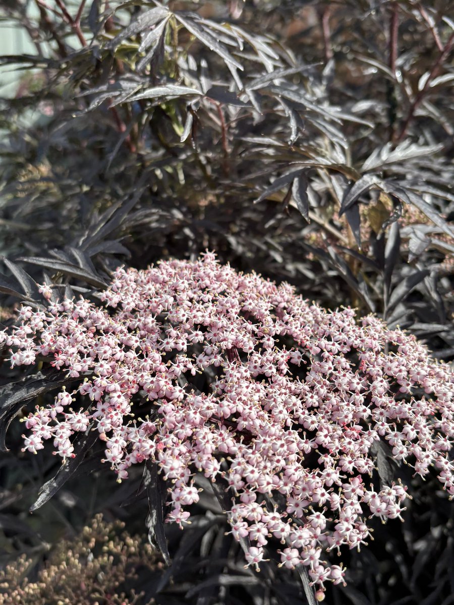 Victoria Barlow tweet media