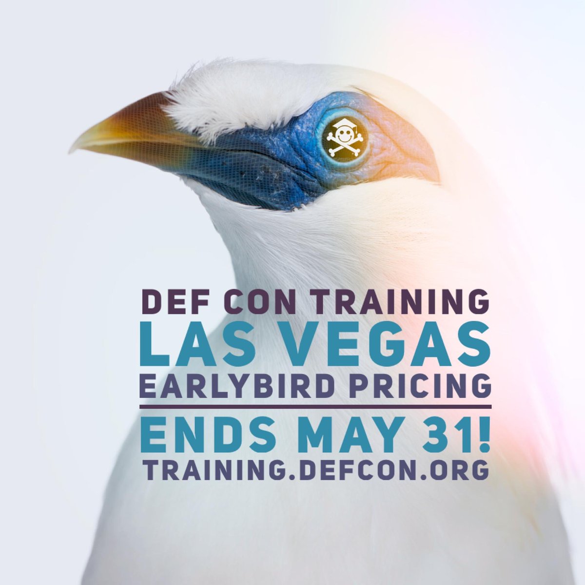 Friendly reminder: #defcontraining Las Vegas is exiting #earlybird mode tomorrow! To get the best price, head to training.defcon.org and reserve your spot now.

#defcon