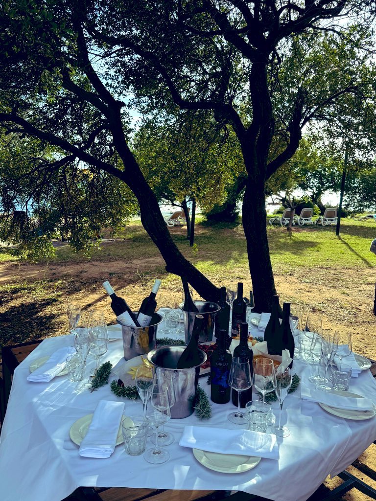 Neilson Alana Beach Club tweet media