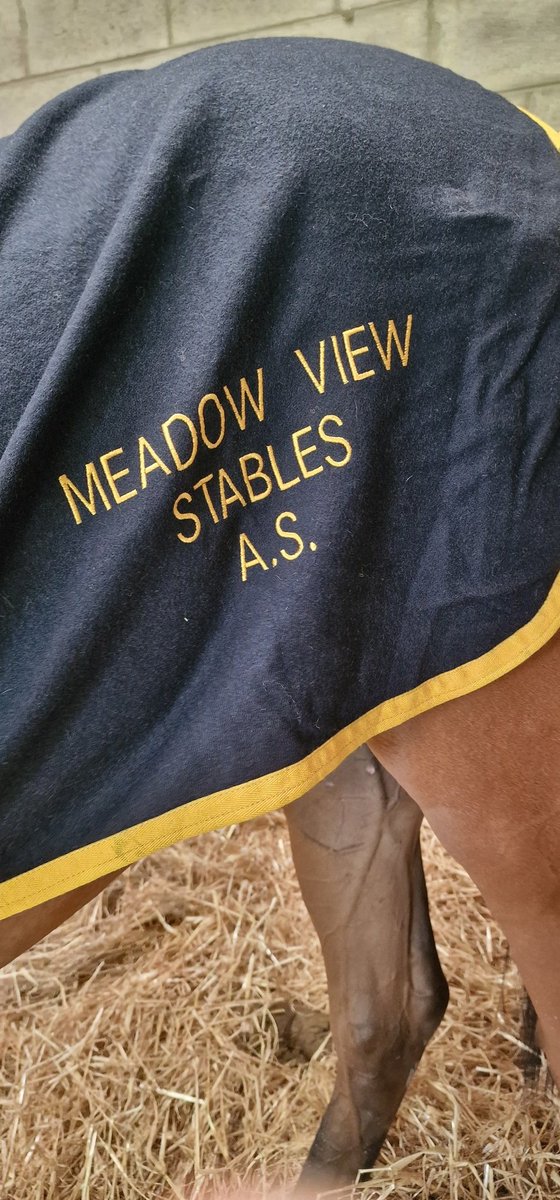AD_Bloodstock's tweet photo. The girl didn't let us down. 100k to Tom Malone.@Tattersalls_ie A dream to handle as are all that come from @MeadowviewStab one more NH sale to do #thedayjob then onto the #mainjob July HiTs @Tattersalls1766 contact me to discuss your requirements.
0044 7553 778275 https://t.co/45uAwe0J1j