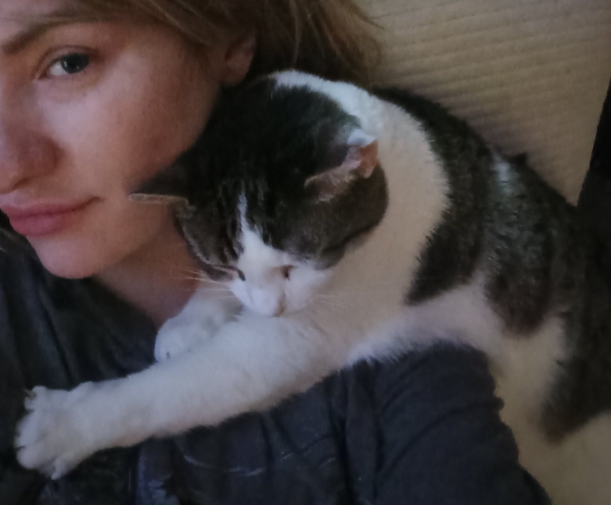 Snark E Smith 😺🐈😺😻🐈🐱🐾😸😼😽😺 tweet media
