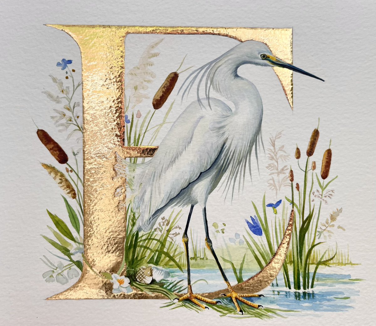 E’ is for Egret
28 x 21 cms
Watercolour, gouache and 24k gold
By Sheila Wallis