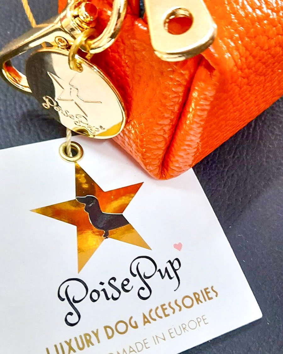 PoisePup's tweet photo. ✨ Shine bright like the supaw-star that you are! ⭐️ @poisepup 💕✨

Spoil your pups 🛍👉 https://t.co/OdEc1U99SW

⭐️ Stylish. Luxurious. Beautiful.
⭐️ FREE worldwide shipping available!
⭐️ Wholesale Available

#poisepup #dogaccessories https://t.co/RpkzcwL5wn