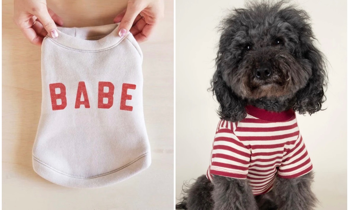 furbdotcom's tweet image. Paint the town red... or just your pup's outfit. ❤️🐾 #SummerDog #DogClothes #DogBandanas

Spotted wearing Red this summer: furb.com/collections/cu…