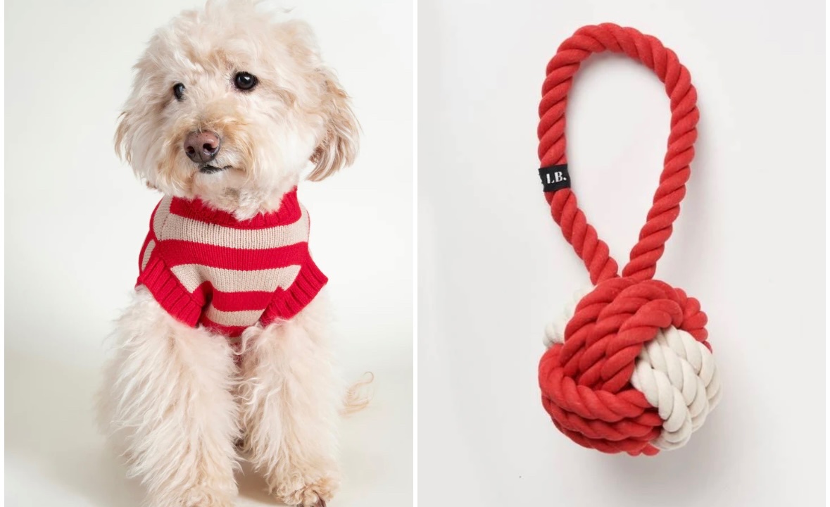 furbdotcom's tweet image. Paint the town red... or just your pup's outfit. ❤️🐾 #SummerDog #DogClothes #DogBandanas

Spotted wearing Red this summer: furb.com/collections/cu…