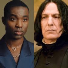 El casting de la serie de Harry Potter está muy bien lo que me parece raro es la elección del actor que interpreta a Severus Snape, estaba más para  Sirius Black