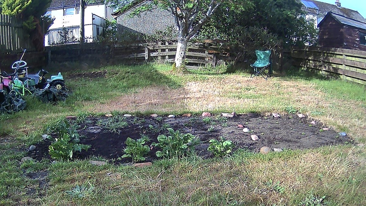 johnnimccloskey's tweet photo. Progress! Tatties, onions, carrots, parsnips - all coming along nicely, thanks to a wee bit of rain. #GrowYourOwnFood #CancelTheWEF https://t.co/lubixRJEGB