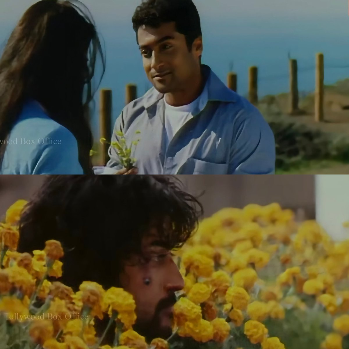the set up and pay off no one talks about 
surya love express chesetappudu budding stage lo unde flowers isthadu after all the incidents happen finally thanu heal aina tharvatha e frame paduddi thanu kuda grow  ayyadu  flowers tho paatu   
you beauty  <a href="/menongautham/">Gauthamvasudevmenon</a> 🛐❤️