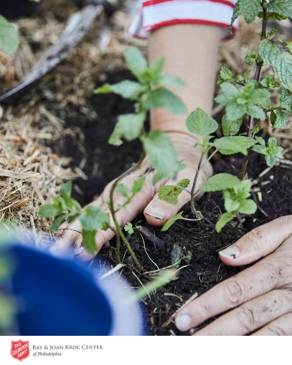 Get your hands dirty, in the best way. 🌿🍅

From fresh veggies to blooming friendships, the garden at the Kroc Center is where all the cool sprouts hang out.

easternusa.salvationarmy.org/philadelphia-k…