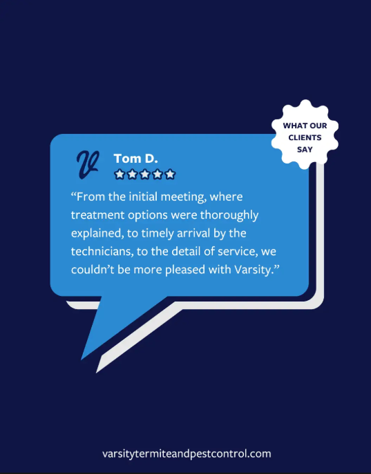 PhxPestControl's tweet image. Shout-out to Tom for the awesome review! We’re proud to be your #ChampionsAgainstPests.

We’re thrilled to hear you had stellar service from start to finish — that’s what the Varsity experience is all about.

#VarsityPestControl #PestControlExperts #ArizonaPestControl