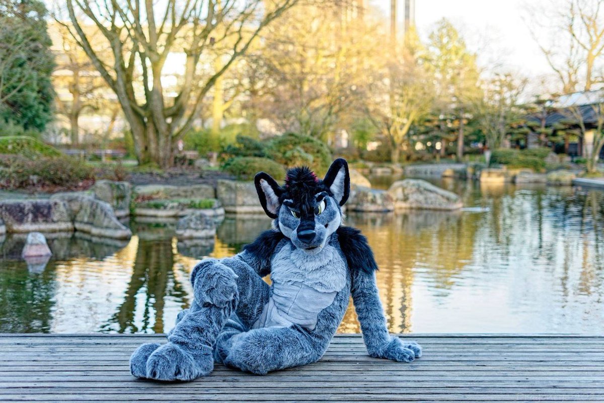 Mirror mirror on the lake, who's the fluffiest mistake?
📸 <a href="/weiser_melanie/">Dragoneye</a>