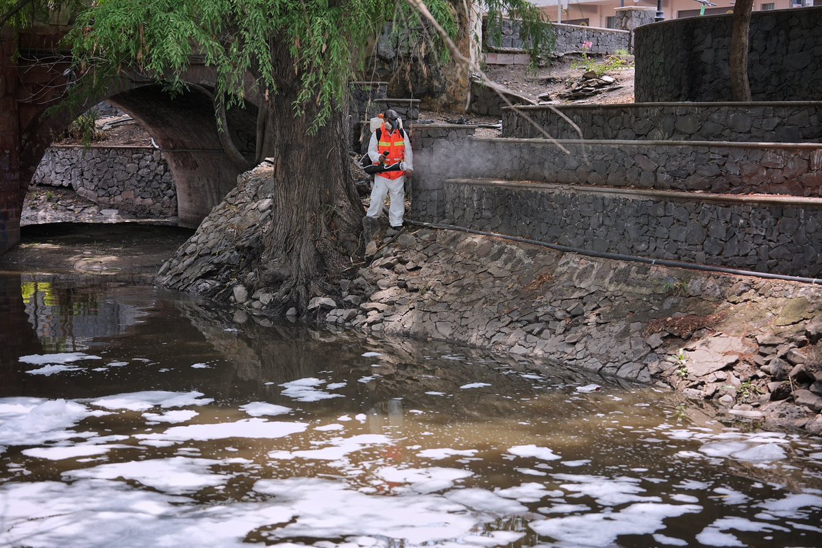 FeliFerMacias's tweet photo. Atendemos de manera pronta tus inquietudes, tomamos acciones y construimos juntos una mejor ciudad.

Para reducir la presencia de mosquitos en la zona del río Querétaro, el equipo de servicios públicos está aplicando un tratamiento correctivo mediante nebulización, con lo cual atenderemos hasta 75 mil metros cuadrados del río, reduciendo los riesgos sanitarios y contribuyendo a un entorno más seguro y saludable para todas y todos.