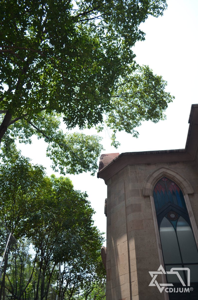 Si caminas por la calle de Córdoba, en la colonia Roma y al voltear hacia arriba ves esto, ¡ya llegaste el CDIJUM! 💙

Te esperamos en la Casa de la Memoria Judía. 🥰✡️