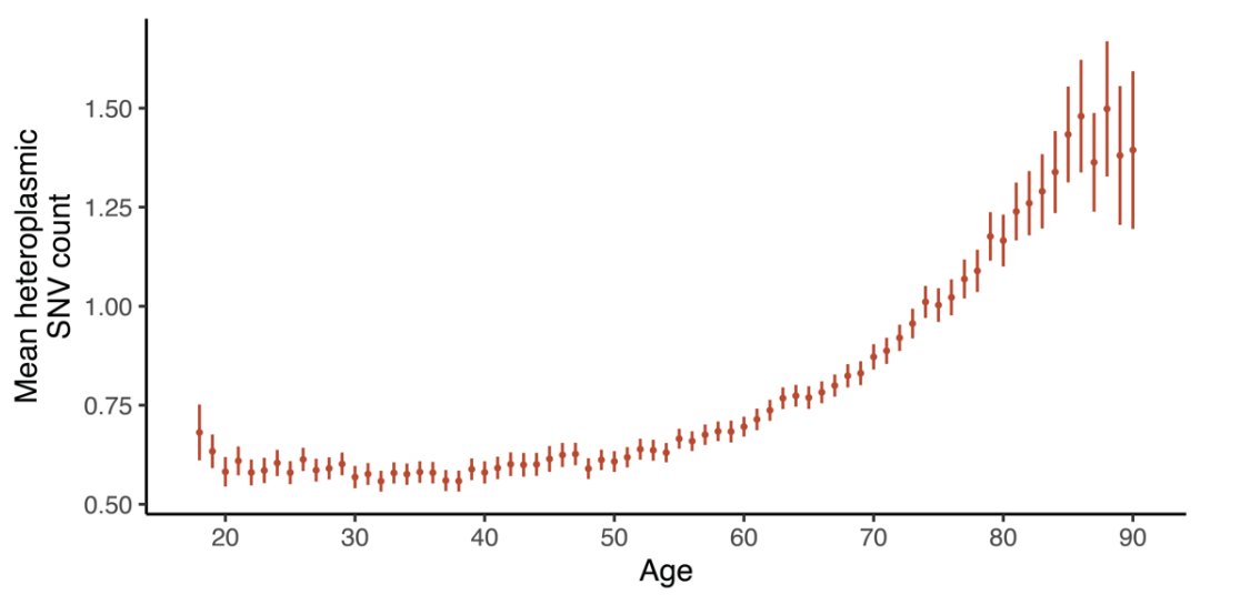 Vamsi Mootha (@vamsimootha) on Twitter photo As we all age, we accumulate mtDNA mutations, but what underlies this hockey stick pattern? See our new pre-print: we treat mtDNA SNV burden as a "trait" and use GWAS to uncover the mechanism in blood. Led by newly minted MD-PhD <a href="/rahulg603/">Rahul Gupta</a> w/ <a href="/LabNeale/">NealeLab /labneale.bsky.social</a>.
shorturl.at/IqYY8 As we all age, we accumulate mtDNA mutations, but what underlies this hockey stick pattern? See our new pre-print: we treat mtDNA SNV burden as a "trait" and use GWAS to uncover the mechanism in blood. Led by newly minted MD-PhD <a href="/rahulg603/">Rahul Gupta</a> w/ <a href="/LabNeale/">NealeLab /labneale.bsky.social</a>.
shorturl.at/IqYY8