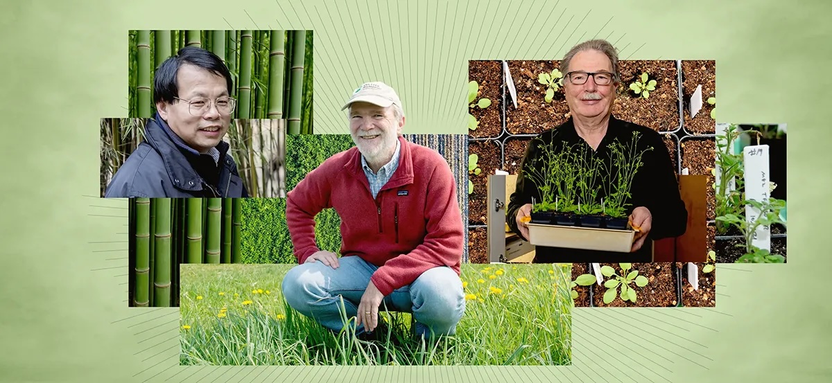 MSU (@michiganstateu) on Twitter photo Three MSU faculty members have been elected to <a href="/theNASciences/">National Academy of Sciences</a>, which recognizes distinguished and continuing achievements in original research. Three MSU faculty members have been elected to <a href="/theNASciences/">National Academy of Sciences</a>, which recognizes distinguished and continuing achievements in original research.