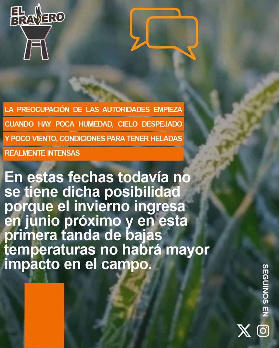 Primera ola de frío no afecta a los cultivos