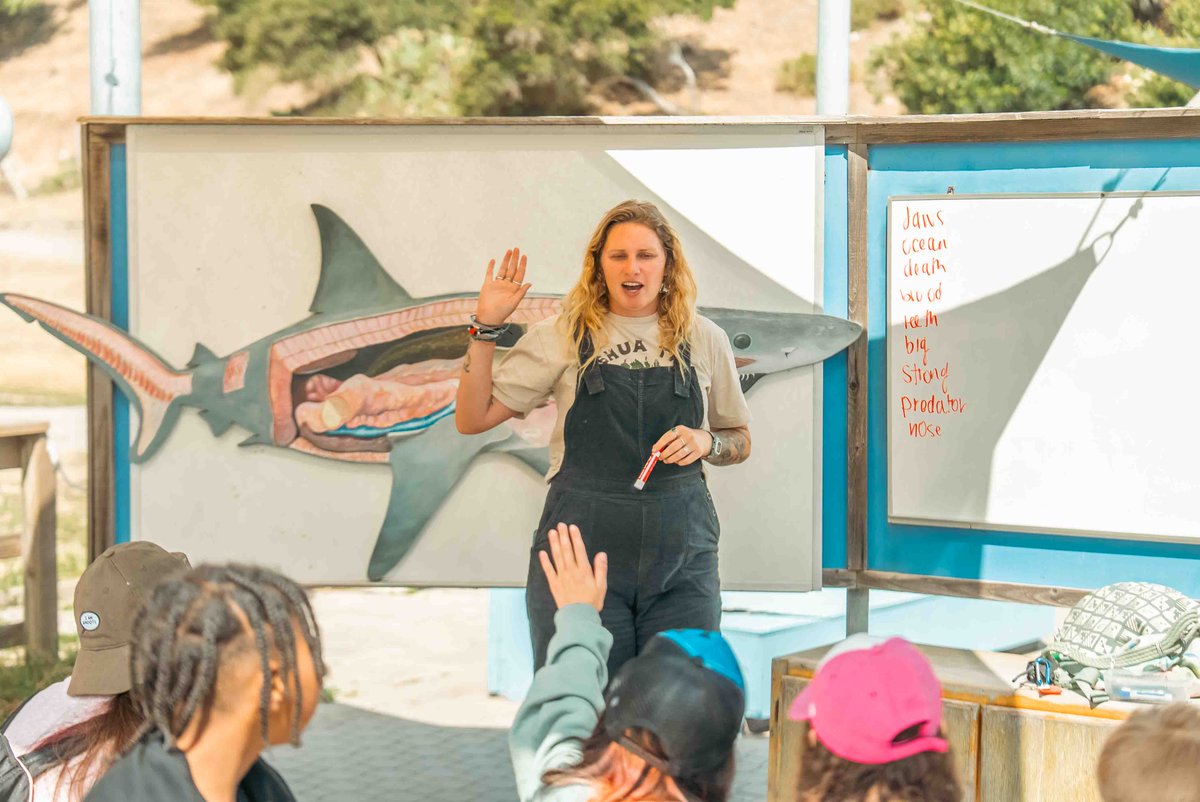Our Shark Labs ignite curiosity and deepen understanding, giving students the chance to explore marine biology up close.