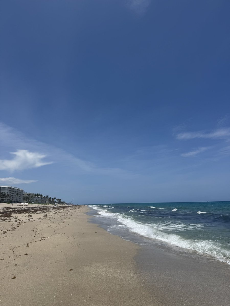 MaclainRowan's tweet image. The show goes on.