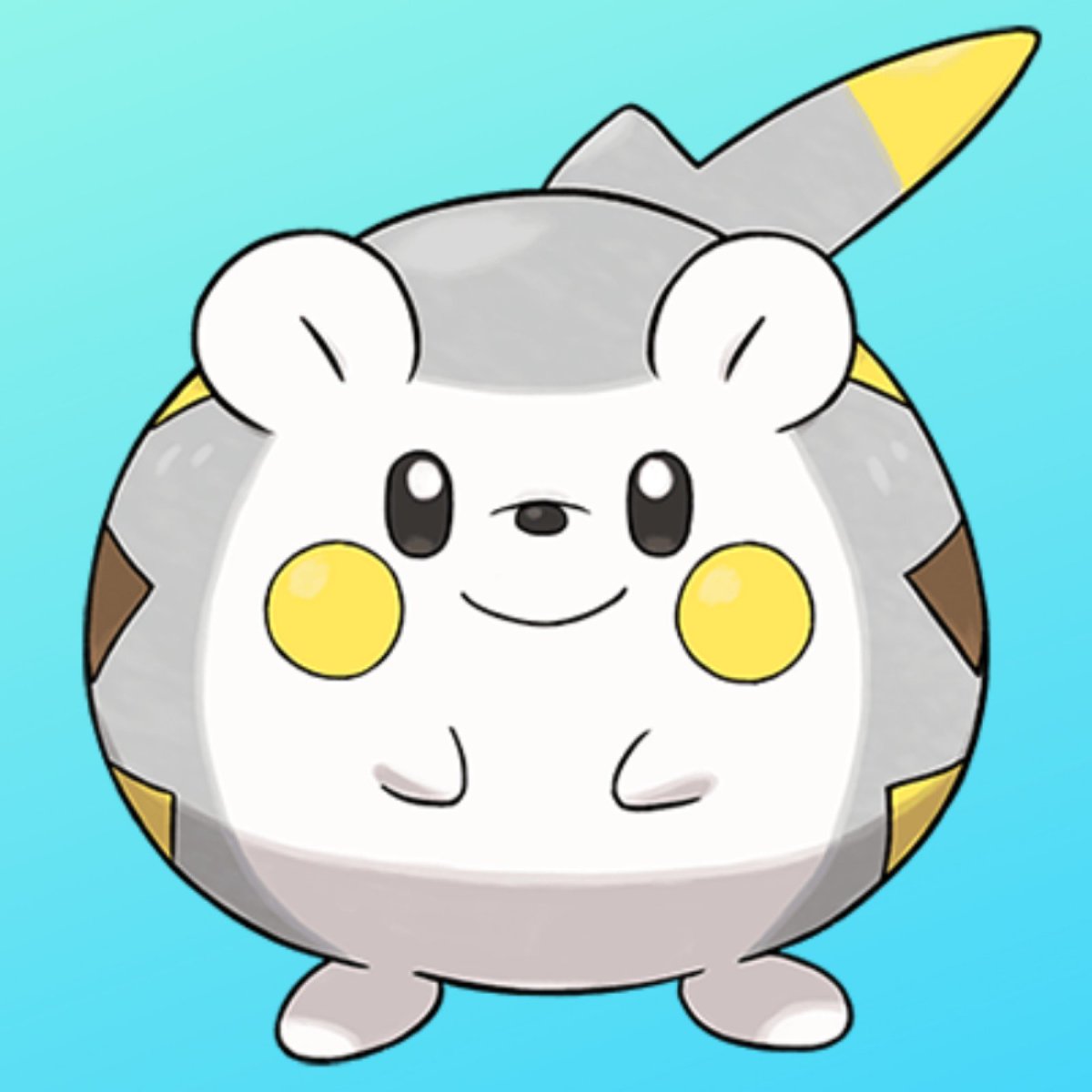 bamjji is so togedemaru coded