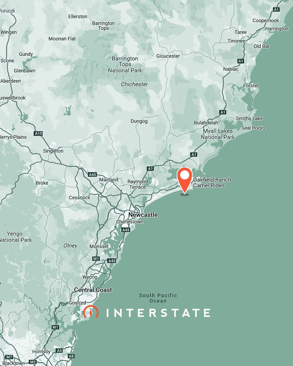 gointerstate's tweet image. 📸 A camel train at golden hour, a backflip in the dunes.
We parked up just in time to catch the light show Mother Nature put on. Not a bad front-row seat!⁠
⁠
What’s the wildest view you&apos;ve ever had from your motorhome?⁠
⁠
#vanlife #motorhome #campervan #rvlife #travel