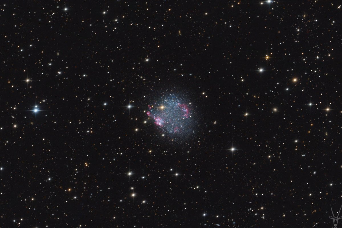 ēMan (the elder millennial) (@scruffyminds) on Twitter photo Astronomy Picture of the Day a la gtracy@gmail.com
#APOD
#AstronomyPictureOfTheday
#Astronomy
#Space
5/29/25
Irregular Dwarf Galaxy Sextans A Astronomy Picture of the Day a la gtracy@gmail.com
#APOD
#AstronomyPictureOfTheday
#Astronomy
#Space
5/29/25
Irregular Dwarf Galaxy Sextans A