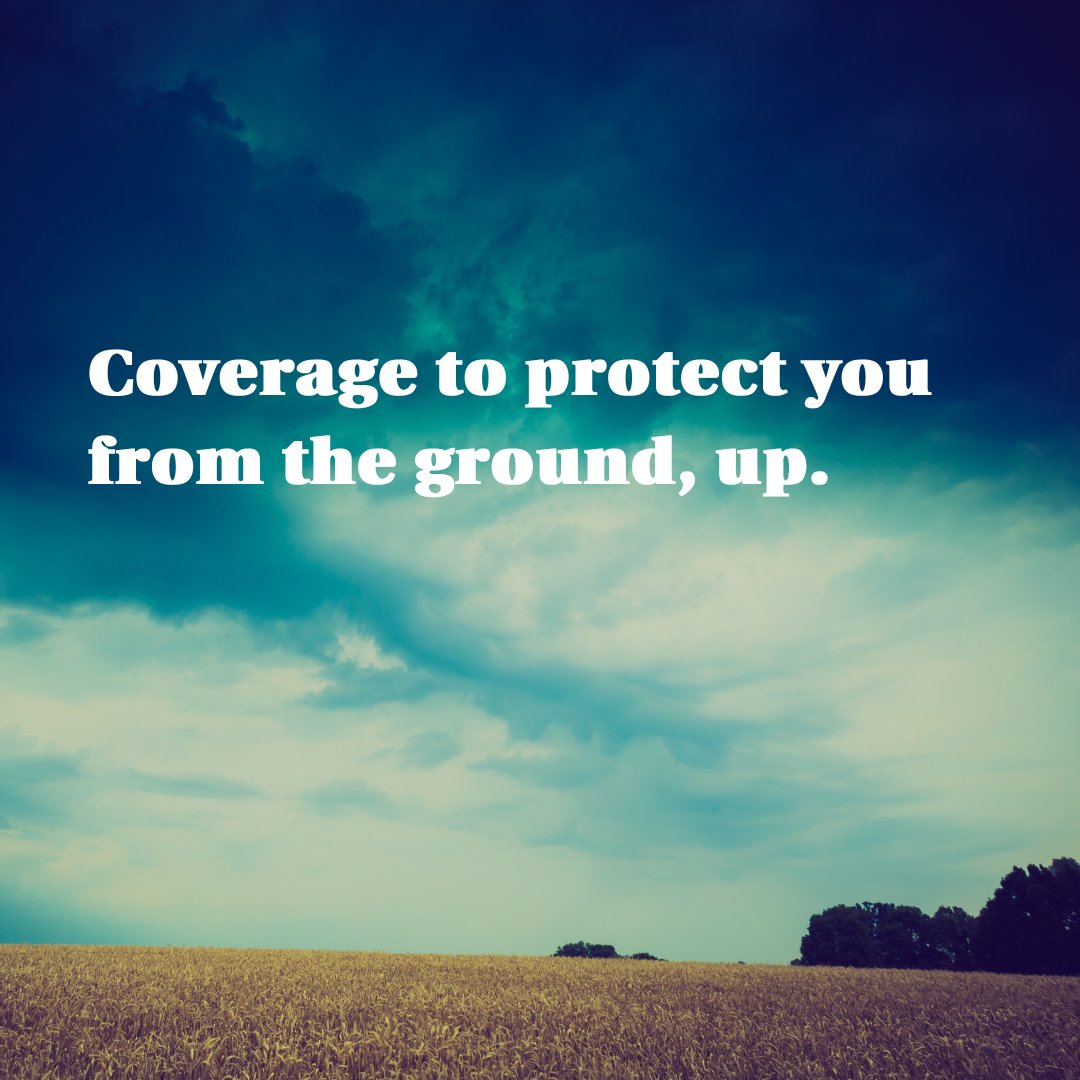 Guild Insurance Group tweet media
