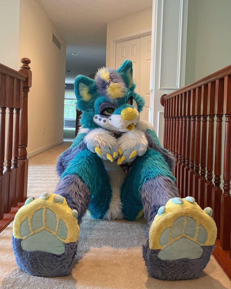 dork doggo tweet media