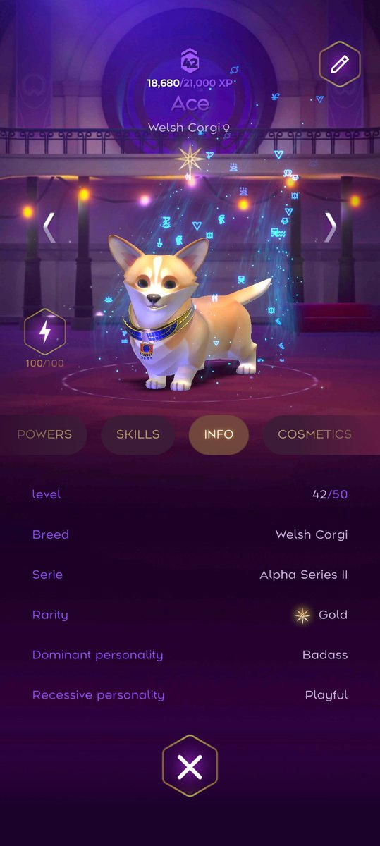 Arsh7274's tweet photo. @Dogami @AbstractChain Matching Darcy the Poodle's skill and making it a real contest. Ace in the rink too. Go Ace!!!!! Looking forward to more challenges by @Dogami @AbstractChain #Web3 #cryptofinds #CryptoGems #GemHunters #HiddenGemsCrypto #AltcoinGems #HiddenCryptoGems #CryptoTreasures https://t.co/i7WRdTx3nI