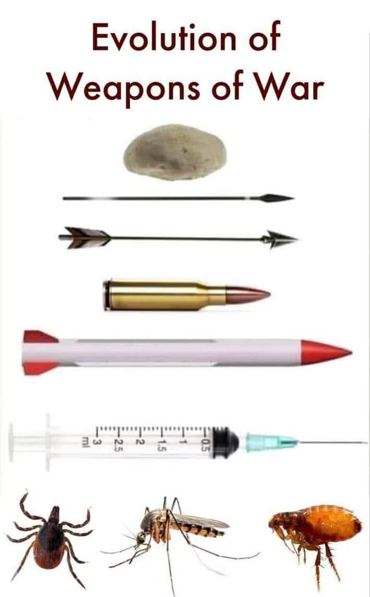 Mary Patt tweet media