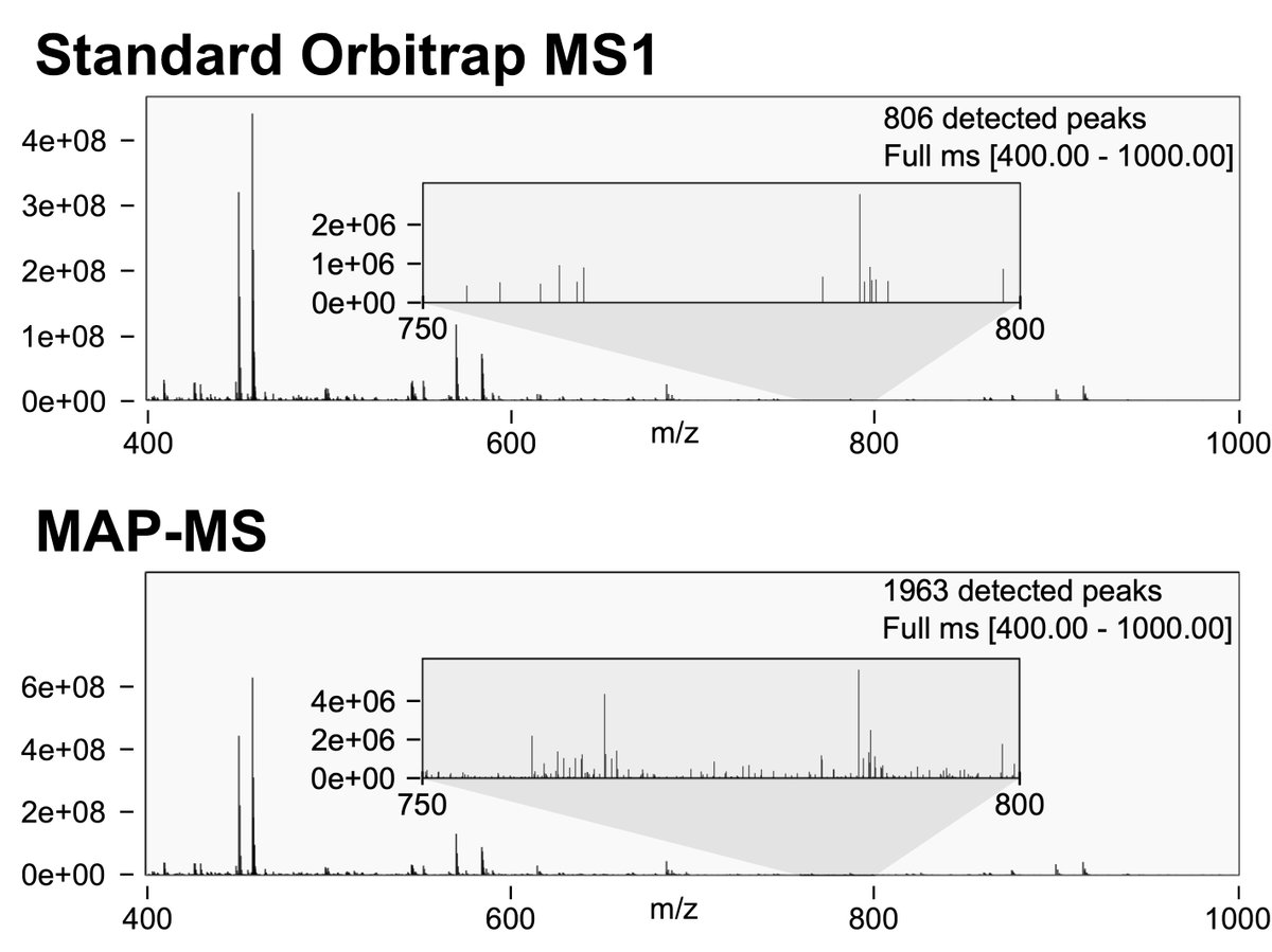 Brian Searle (@briansearle) on Twitter photo People have asked about how MAP-MS works so here's a tweetorial on <a href="/teerap16/">Teeradon Phlairaharn</a>'s new preprint: biorxiv.org/content/10.110…. MAP-MS takes advantage of parallelization in a trapping MS, collecting Orbitrap MS1s with 2x the dynamic range by differentially amplifying parts of the ion beam. People have asked about how MAP-MS works so here's a tweetorial on <a href="/teerap16/">Teeradon Phlairaharn</a>'s new preprint: biorxiv.org/content/10.110…. MAP-MS takes advantage of parallelization in a trapping MS, collecting Orbitrap MS1s with 2x the dynamic range by differentially amplifying parts of the ion beam.