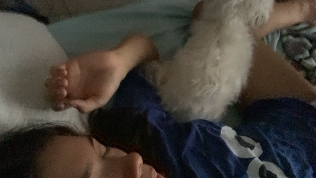 zoomtsum's tweet photo. @wheniminurarms best cuddling partner. She is always inside tho https://t.co/zoSLkhNrp6