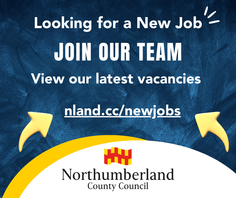 💼Looking for a new Job? We have lots of jobs that are updated on a weekly basis.

Find out more and apply👉 nland.cc/newjobs

We have a wide range of jobs on offer from admin to teaching to refuse collection so there may just be the perfect job for you!