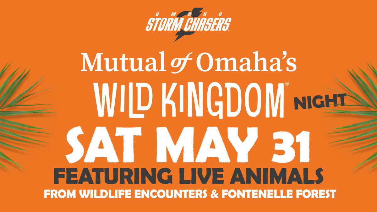Omaha Storm Chasers (@omastormchasers) on Twitter photo Join us this Saturday, May 31st for <a href="/mutualofomaha/">Mutual of Omaha</a>'s Wild Kingdom Night and learn more about your animal friends!
The night will feature live animals on the concourse from Wildlife Encounters & Fontenelle Forest.
ποΈ: bit.ly/4jRsKay Join us this Saturday, May 31st for <a href="/mutualofomaha/">Mutual of Omaha</a>'s Wild Kingdom Night and learn more about your animal friends!
The night will feature live animals on the concourse from Wildlife Encounters & Fontenelle Forest.
ποΈ: bit.ly/4jRsKay