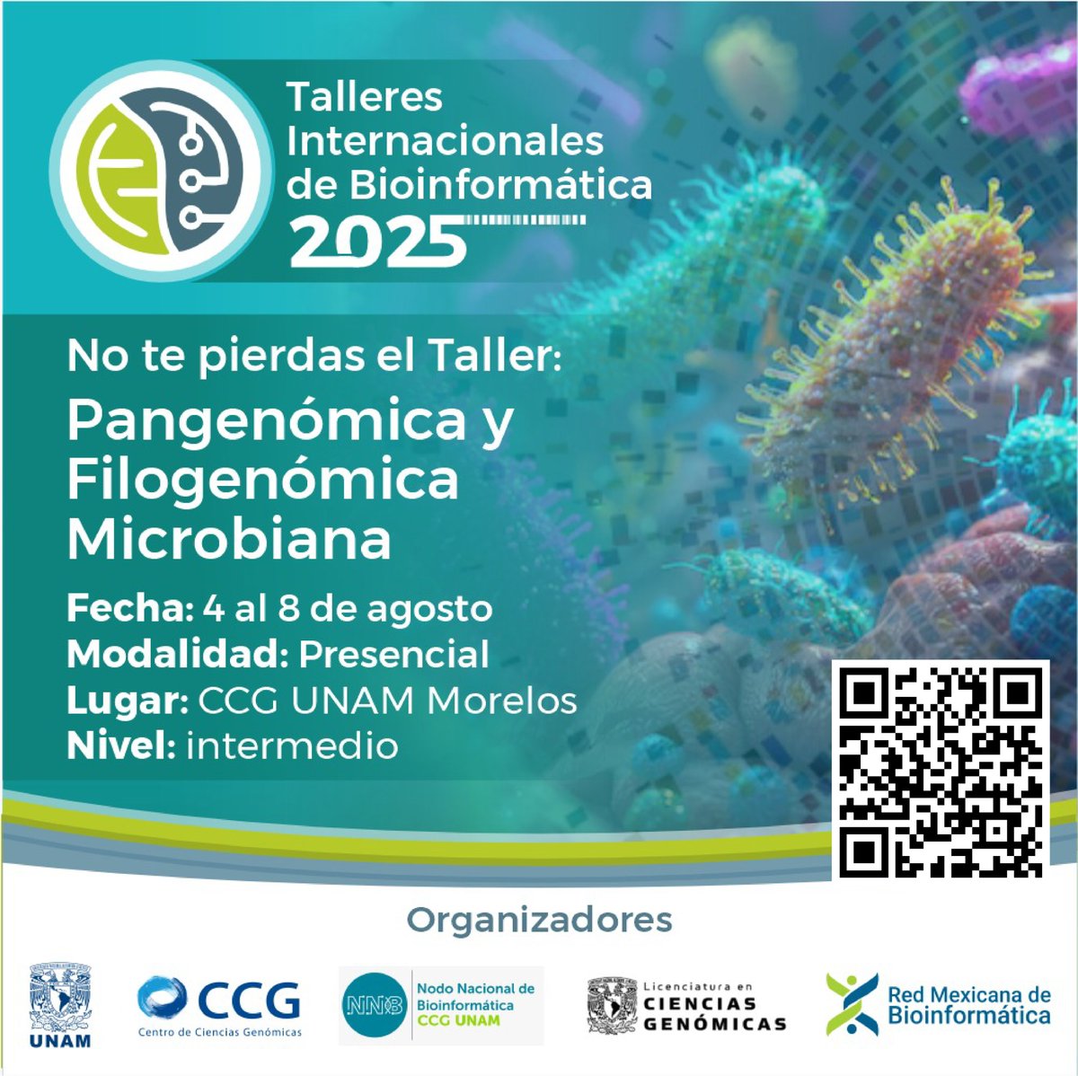 nnb_unam's tweet image. ‼️Participa en los #TIB2025‼️
📆 Del 4 al 8 de agosto
Talleres:
🧬Pangenómica y Filogenómica Microbiana - 📍 Presencial en el @ccg_unam
🐍Introducción a Python e IA - 🌐 En línea
🔗 nnb.unam.mx/TIB2025/
@RBioinformatica @lcgunam