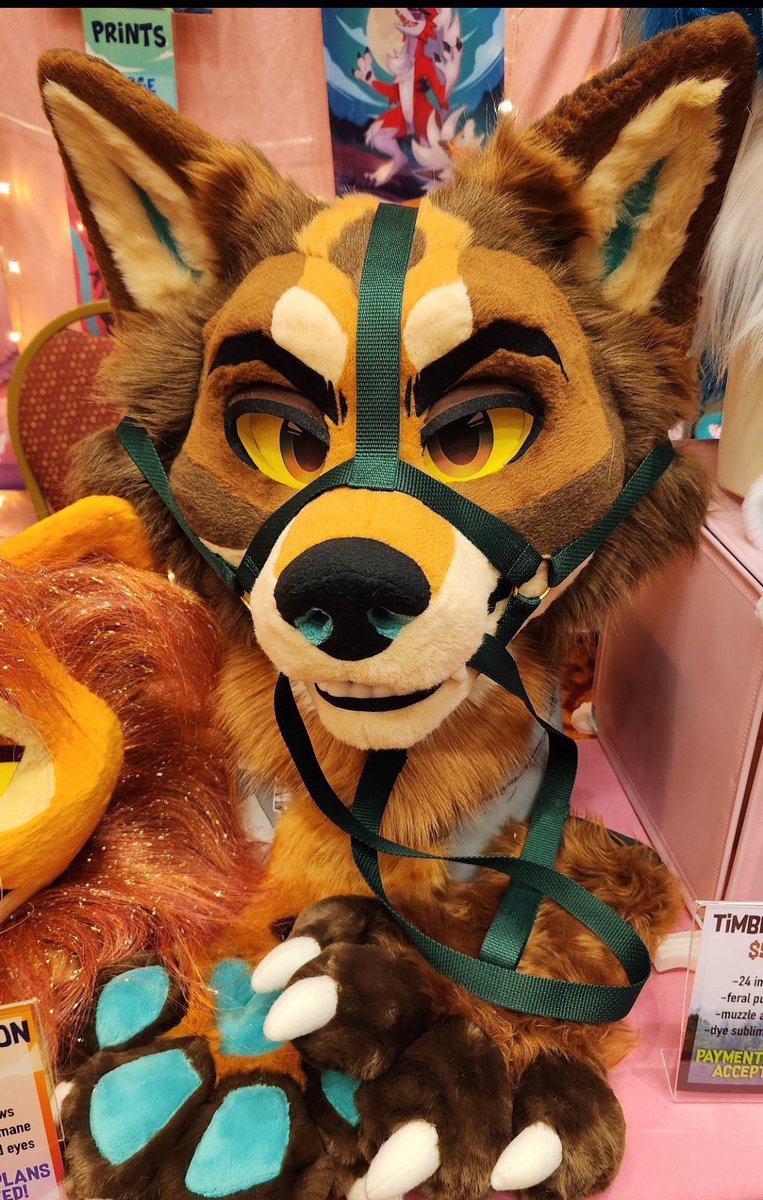 i wanna get a fursuit head in like
this style soooo prettyyyyy