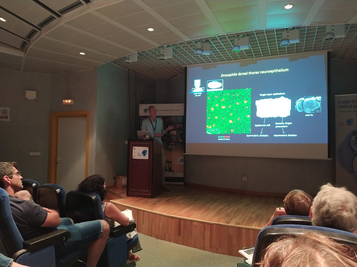 Centro Andaluz de Biología del Desarrollo tweet media