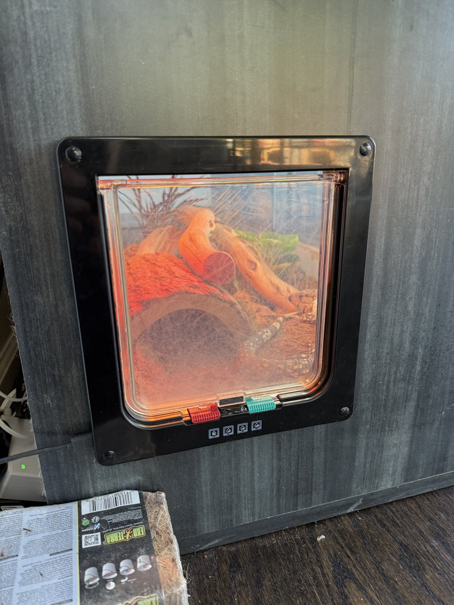 Added push notifications to Sprocket’s 🦎 door so I know when she’s out prowlin’.