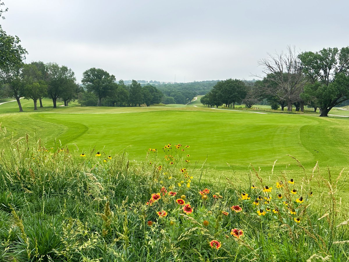 Trey Kemp tweet media