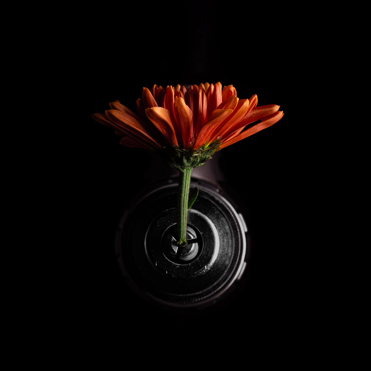 UCDavis_KNikos's tweet image. Catch music, theatre, art, well...everything arts at #UCDavis in this week's Arts Blog. ucdavis.edu/arts/blog/week……
@MondaviCenter ,
@UCDLandS
@manettishrem
@UCDavisMusic