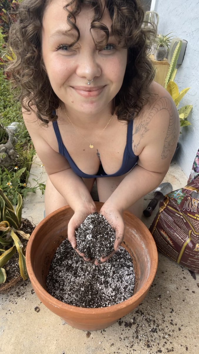 Planty things 🪴 ✨