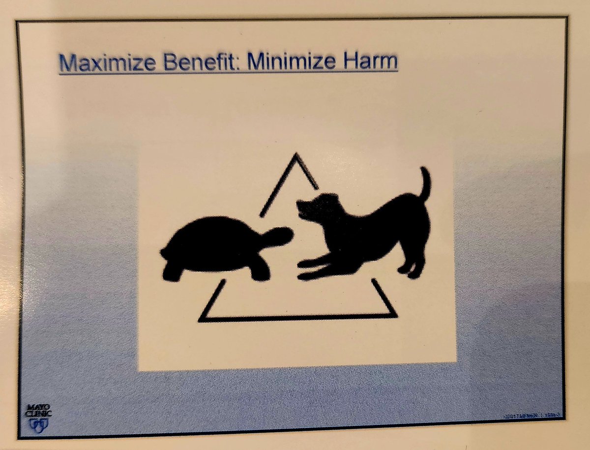 The Dog fighting the Turtle. 

#TodosVsElCáncer

Maximize Benefit , Minimize Harm.
