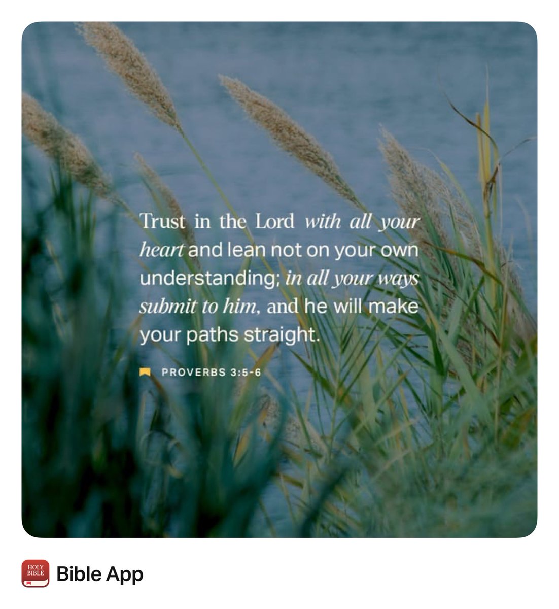 Drubars's tweet photo. https://t.co/O1gISmFUE8