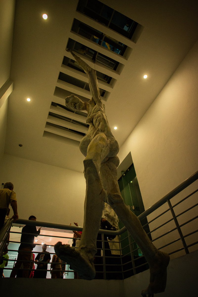 Ven y conoce una exposición que rompe con todos los cánones de belleza que conocemos. 
Una mirada que nos invita a explorar que la fealdad no es más que una idea, una preconcepción, y no una realidad objetiva.
Te esperamos en el Museo Raúl Anguiano hasta el 6 de julio.