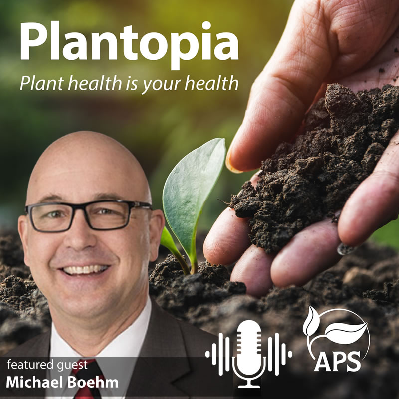 The latest episode of APS' Plantopia #podcast features Dr. Michael Boehm discussing his 2025 APS Fellow Award, his career as a federal researcher, and his experiences serving in the US military. Listen here:  plantopiapodcast.org/60.