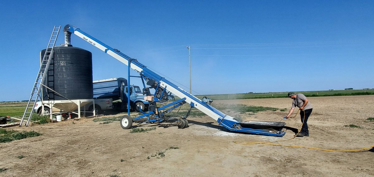 ABSeedman's tweet photo. Plus 31° today. Perfect day for solubilizing urea. When the heat is on, it took us 2 hours and 45 minutes to solubilize 11 metric tons into 3,850 US gallons of water. Hot weather is your friend when it comes to solubilizing. Very easy process to do and I love the efficiency. https://t.co/0HUH07GSUO