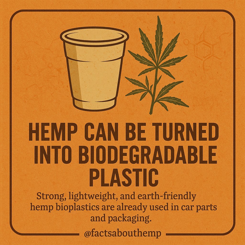 #Biodegradable #hemp #plastic